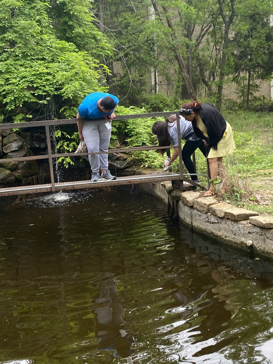In the ecology center we went hiking for found organic objects for our art project
#preservetheherd #GHSRise
<a href="/AlexFingers7/">Alex Fingers</a> <a href="/kristyhansen13/">Kristy Hansen</a>