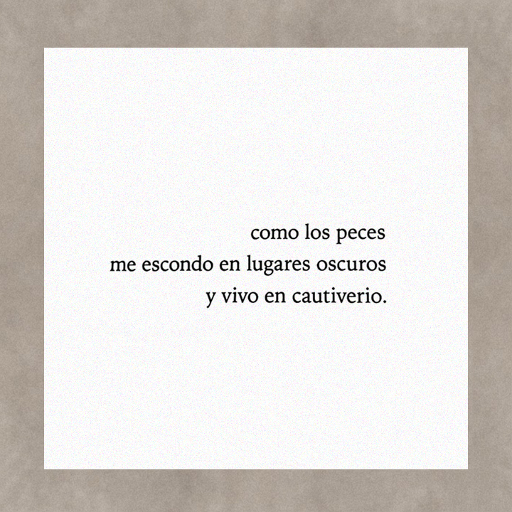 Zivals's tweet photo. Te regalamos un fragmento de "Me peleé a los gritos con el manager del spa", de Carla Quevedo @lodecarlaqueved (de esos para marcar con resaltador)❤️
@penguinlibrosar
#libro
#poesía
#poema
#zivals https://t.co/rmHUuBT9qI