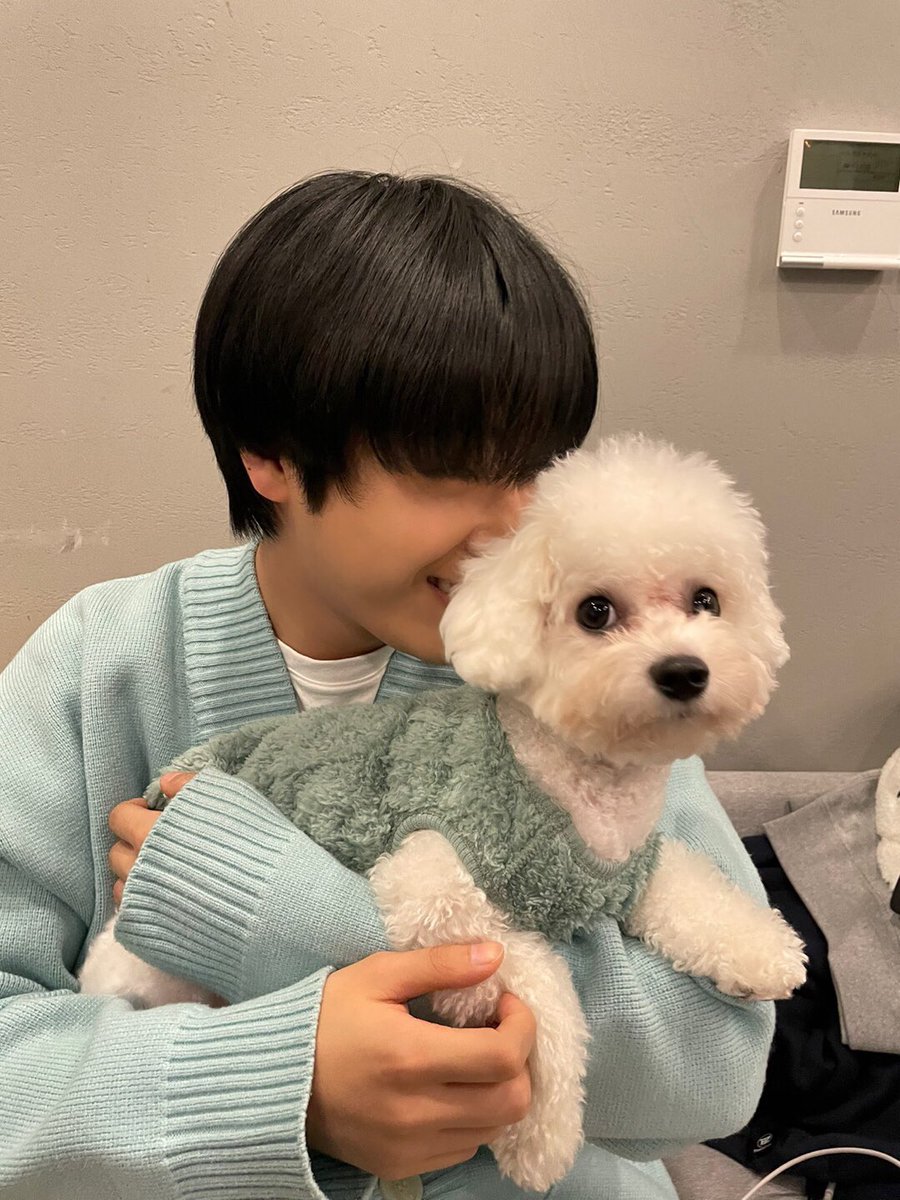 allak39's tweet photo. 강아지 유치원 선생님.. 낮잠 시간에 강쥐들 옆에서 같이 누워서 이불 폭 덮고 잤으면 https://t.co/uRkn1mrmm5
