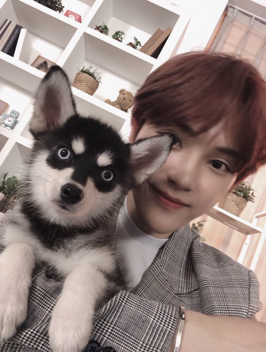 allak39's tweet photo. 강아지 유치원 선생님.. 낮잠 시간에 강쥐들 옆에서 같이 누워서 이불 폭 덮고 잤으면 https://t.co/uRkn1mrmm5