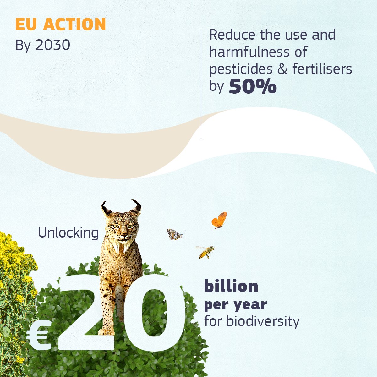 EU_ENV's tweet photo. Bringing back #EUPollinators 🦋🐝 is key for our wellbeing &amp; #ForOurPlanet

That is why we welcome the 🇪🇺 European Citizens' Initiative "Save bees and farmers! Towards a bee-friendly agriculture for a healthy environment" - supported by over 1 million citizens across the EU 👇