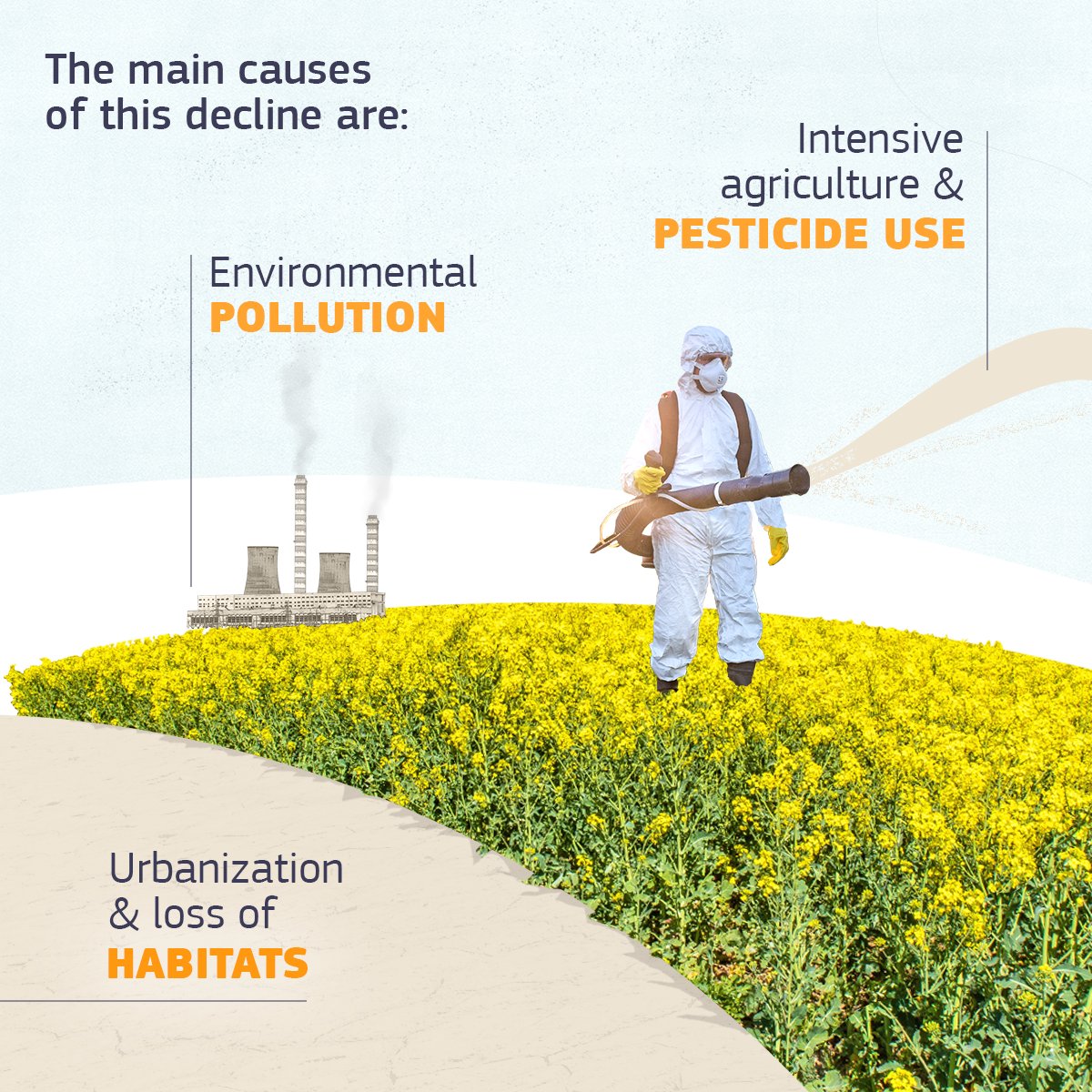 EU_ENV's tweet photo. Bringing back #EUPollinators 🦋🐝 is key for our wellbeing &amp; #ForOurPlanet

That is why we welcome the 🇪🇺 European Citizens' Initiative "Save bees and farmers! Towards a bee-friendly agriculture for a healthy environment" - supported by over 1 million citizens across the EU 👇