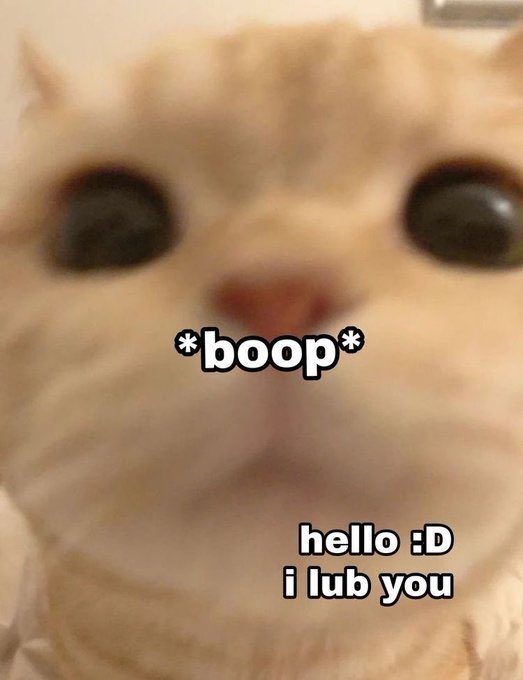 cnhaein's tweet photo. MEONG KICILLLLL @geumheep https://t.co/h4Q3fHd6Lg