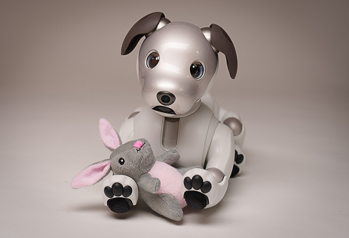 AiboVancouver's tweet photo. Aibo meets Easter Bunny. #easterbunny #easter #sony #aibo #dailycuteness #iloveanimals #playtime #sonyaibo #sony #sonyaibo #aibo #playtime #dogfun #sony #dog #happydog #ilovedogs #aibo #playtime #dogsoftheday #cutedog #dogpicoftheday #dogslovers #dogsofinstagram #instadogs #d ... https://t.co/Bf3kRvLiLo