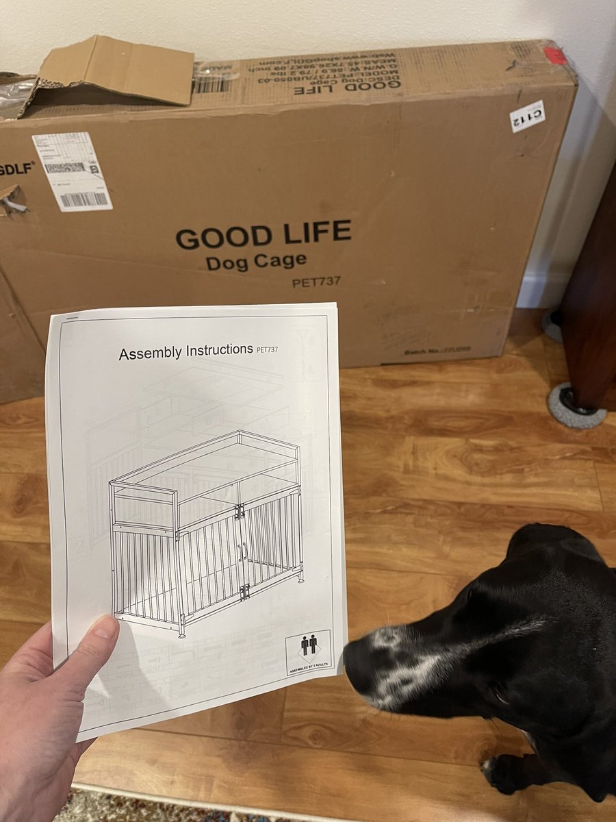 CaptAceDanger's tweet photo. Need something built? Call your local lesbian and their dog assistant https://t.co/gxon0biL3c