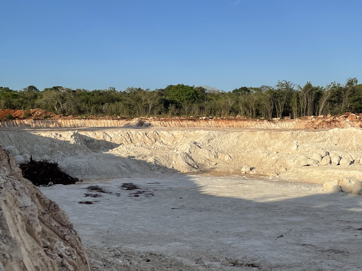 De la serie #LaSelvaEstorba. Apertura de banco de material #EsMineria en #Bacalar para la construcción del #TrenMaya sin cambio de uso de suelo, ni manifestación de impacto ambiental <a href="/SEMARNAT_mx/">SEMARNAT México</a> <a href="/iniciativaclima/">Iniciativa Climática de México</a> <a href="/WRIMexico/">@WRIMexico</a> <a href="/CCMSSAC/">Consejo Civil Mexicano para la Silvicultura</a>
