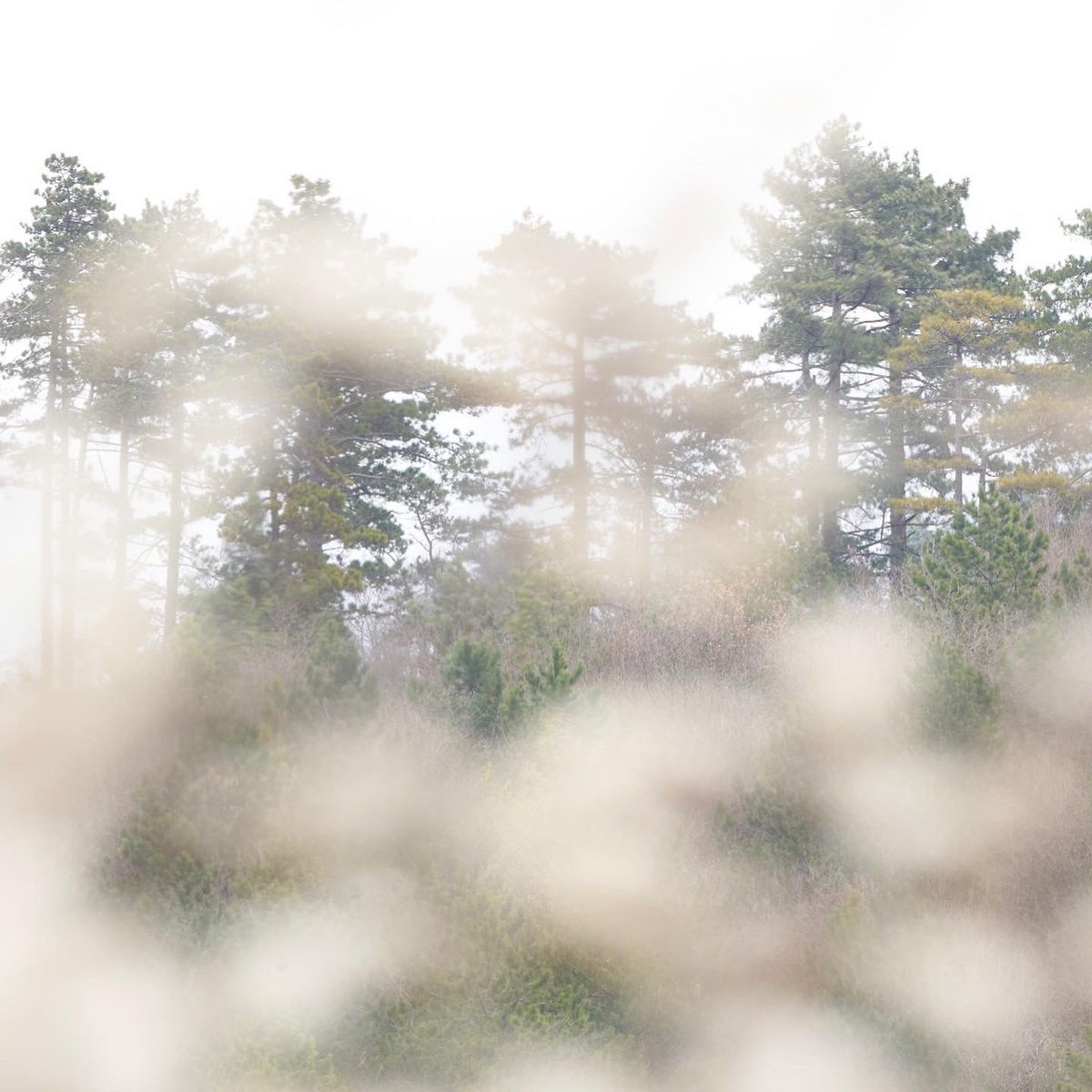 Andrea Celli | andreacelli.eth tweet media