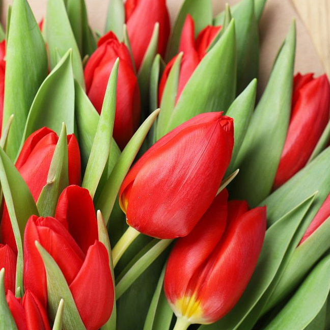 The Great British Garden Festival tweet media