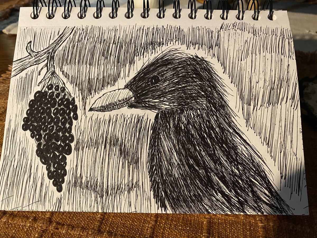 dripchrollo's tweet image. it’s a bird! it’s a plane! No it’s MID!