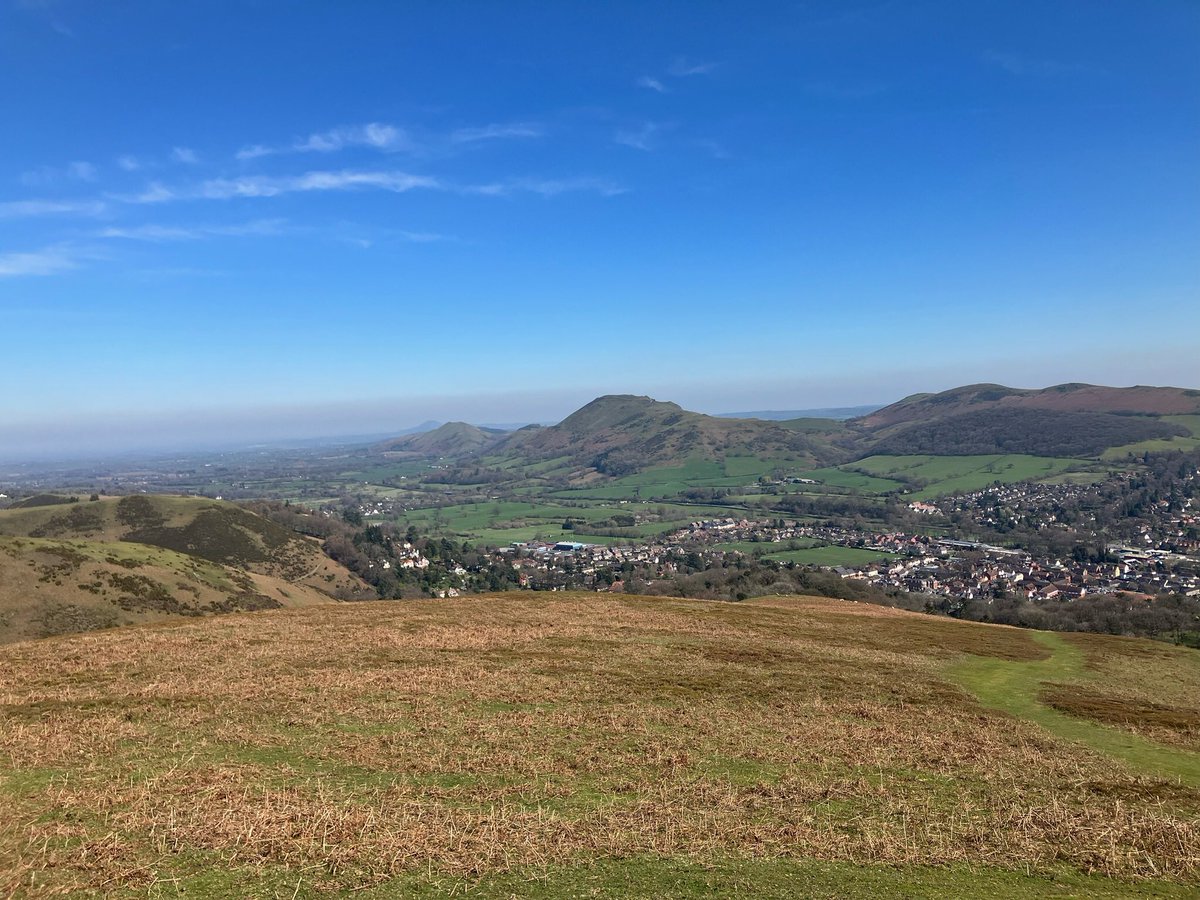 Kevin Sharp tweet media