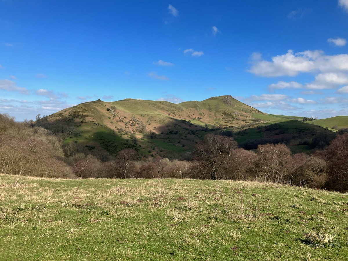 Kevin Sharp tweet media