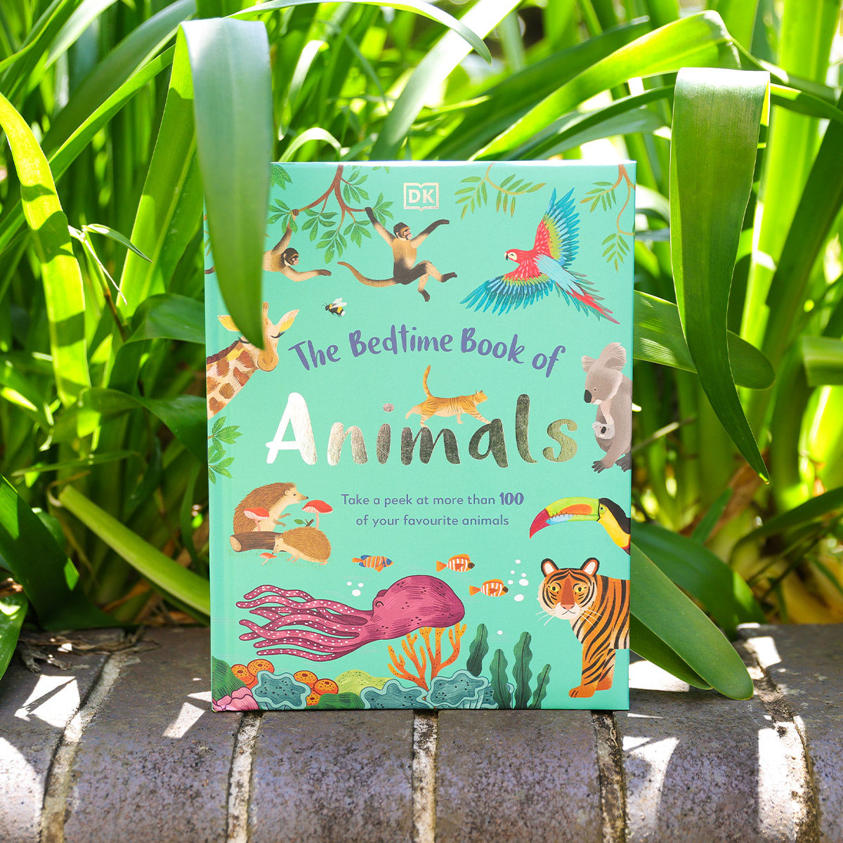 From rabbits and red pandas to starfish and songbirds, The Bedtime Book of Animals is a beautifully illustrated guide to the animal kingdom 🦒 geni.us/bedtimebookofa… #kidsbook #christmasgift #kidsgift