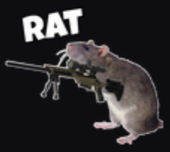 Spiderman_3891's tweet photo. @CallofDuty 🤔… or #TeamSentinel (Camper) 🐀 😒

@JasonHoisington @B_RAD_THE_MAN67  @RageUseAimbot @stephenjames02 🤣 https://t.co/hlXnG6Kqvx