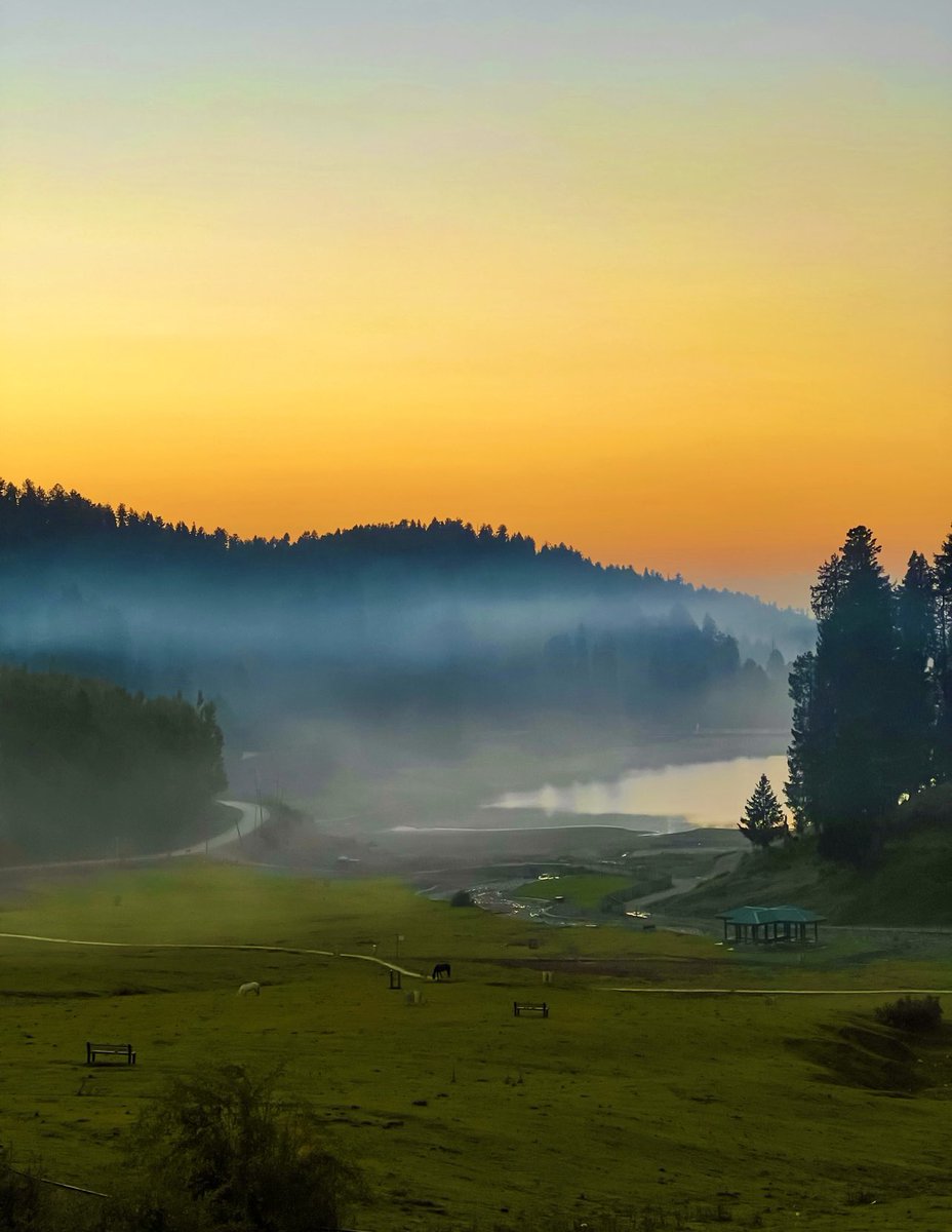 stardust3001's tweet photo. A dreamy morning…. Somewhere in kashmir 🌻🌻
Please share yours! 
#landscape #TwitterNatureCommunity https://t.co/Kmf9bFmRS5