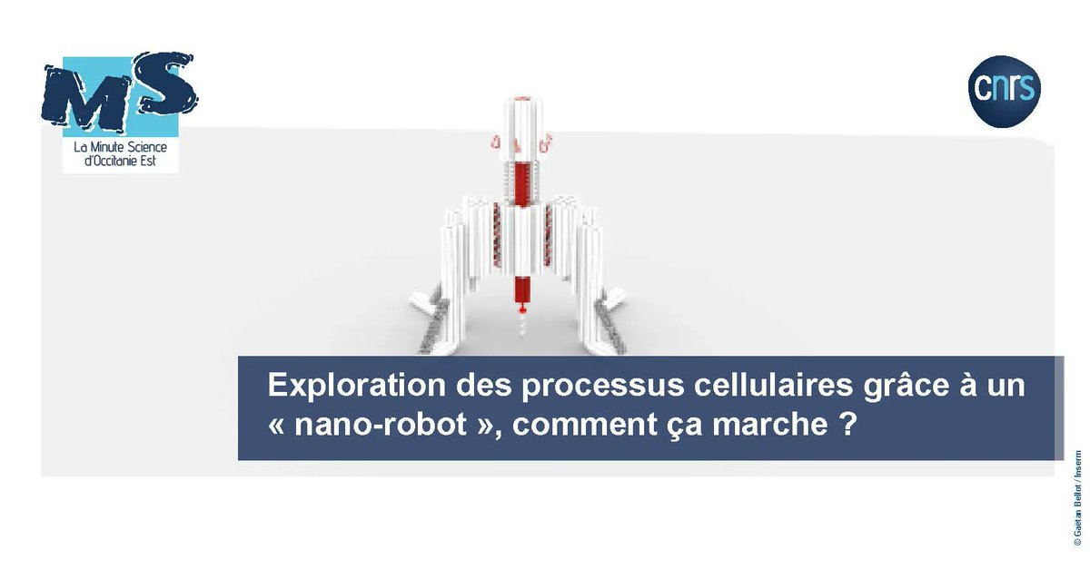 CNRS_OccitaniE's tweet image. 🧬  #MinuteScience | Nano-robot et ADN, le combo gagnant ? 

➡️  buff.ly/3TUADjH 
 
#IGF #CBS @IBMM_Balard @PhyMedExp @cnrs @InsermOccMed @umontpellier