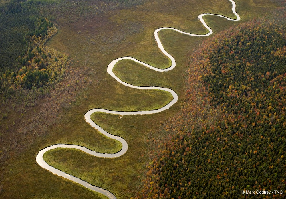 The latest TNC science looks at why protected areas must consider what’s beneath the surface nature.ly/3ZGKY3Z