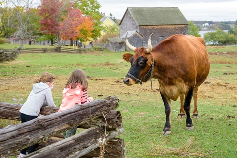 The Daily Gleaner tweet media
