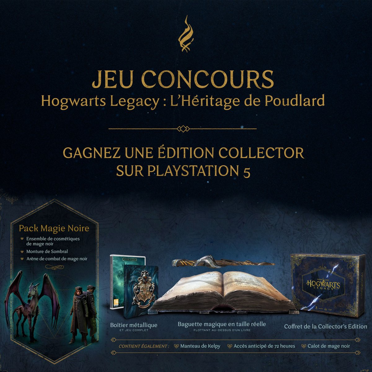 Warner Bros. Games France tweet media