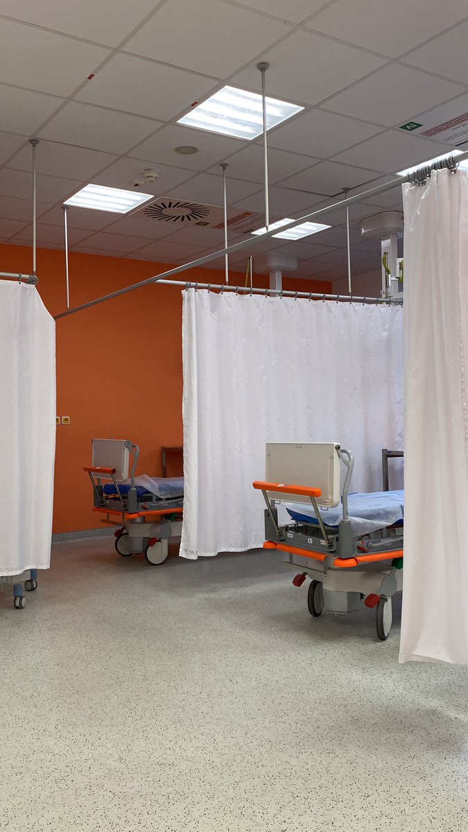 Lukáš Pollert tweet media