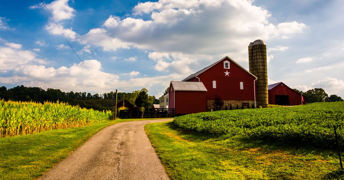 PequeaMachine's tweet image. Make sure to check out vist.ly/3xx8 for all your farm equipment needs! 🚜 Plus, you can use our convenient dealer locator feature on our website to find your nearest Pequea dealer.
#PequeaMachine #FarmLife  #Agriculture #FarmEquipment #DealerLocator