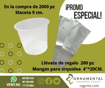 Aprovecha la oportunidad!!

#ornamentales #macetas #mangas #oferta