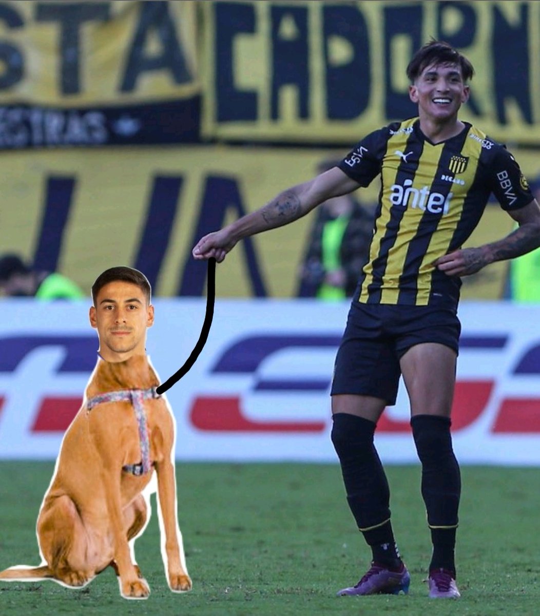 manyanonymous's tweet photo. Se da en adopción Cachorro, manso. Su dueño viajó al exterior y no lo pudo llevar.
Responde al nombre de 🐕DIDO. https://t.co/VwwMYUDNOk