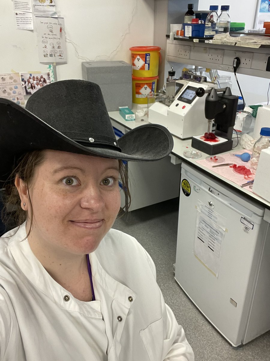 TeamRespiratory's tweet image. You know it’s been a good day in the lab for @kyliebelchamber and @DrAAronScott when the Cowboy Science hat comes out 🤠#pcls #orisit?