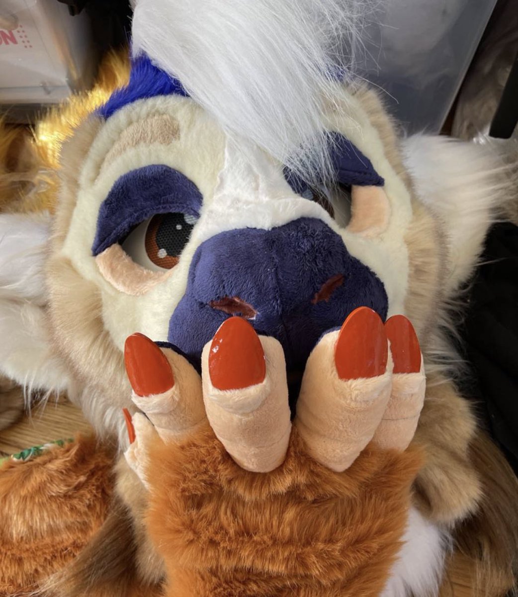 🐈‍⬛Frouzon.bsky.social tweet media