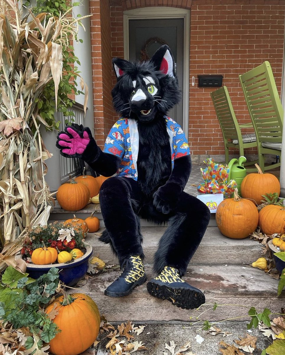 🐈‍⬛Frouzon.bsky.social tweet media