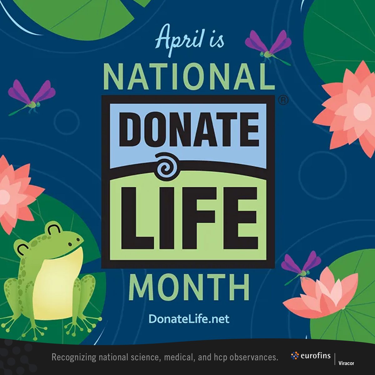 April is #DonateLIFEmonth. Please spread the word about this very important cause.

📝 Sign up to be an organ donor.
RegisterMe.org 🧬🩸♥👁

👉 DonateLife.net

#organdonor #organdonation  #transplanttwitter