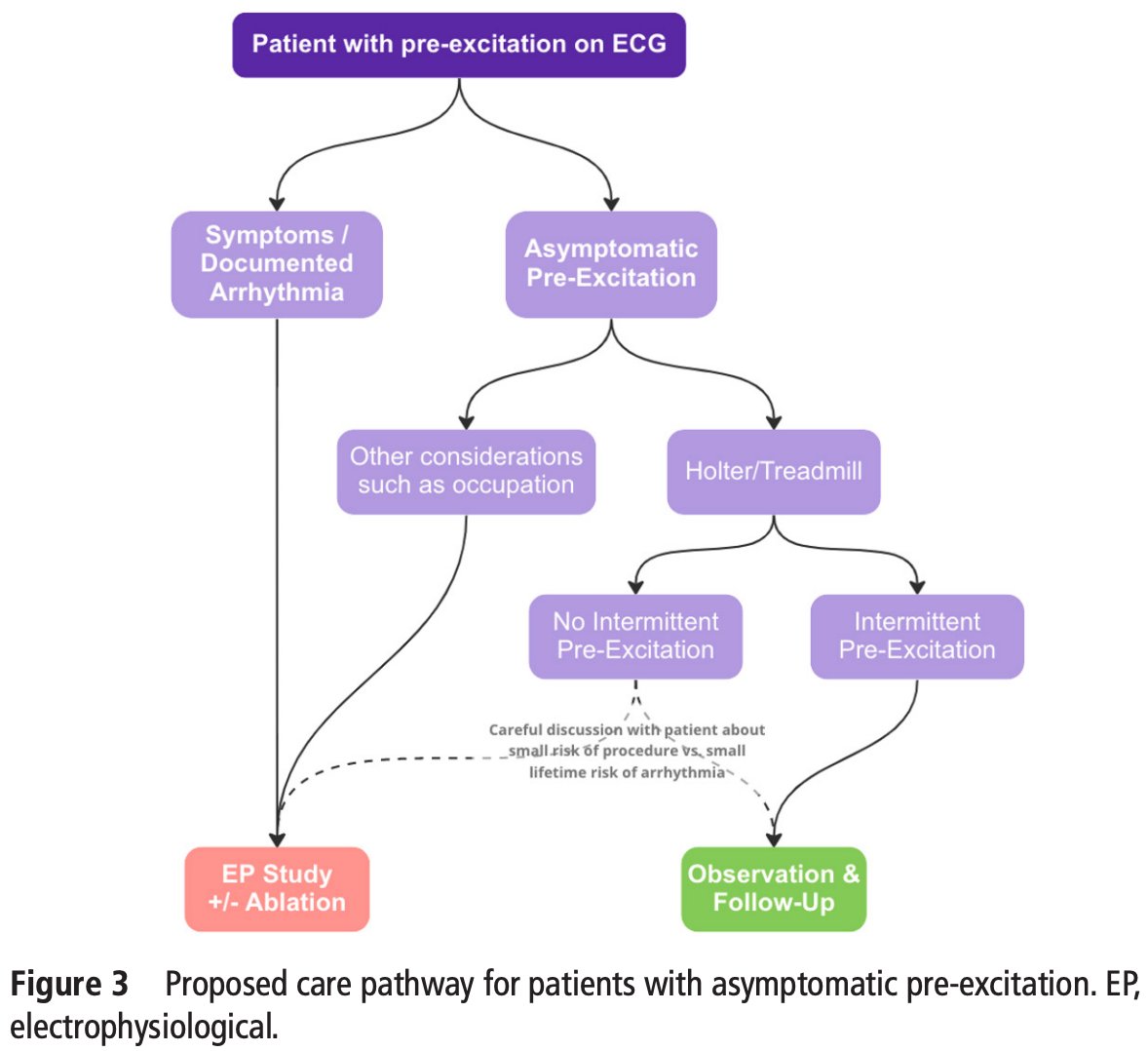 SeguraCardio's tweet photo. 📌Approach to a patient w/ asymptomatic #preexcitation
#CardioTwitter #CardioEd #ePeeps #EducationInHeart https://t.co/SyLmwv5GyD