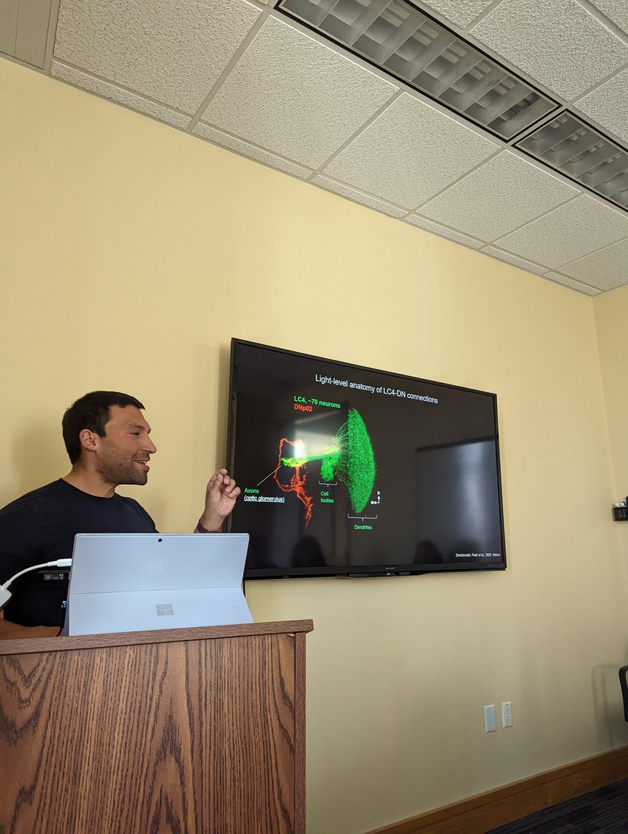 JuliusJonaitis's tweet photo. @DombrovskiMark, former CSHL Drosophila neurobiology course student presenting his current work at @WVUBiology @Dacks_Lab @JuliusJonaitis @ucla https://t.co/evLv992DoW