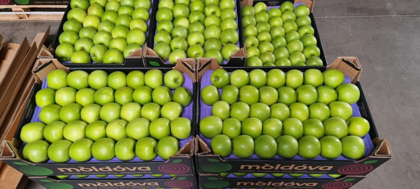 Granny Smith Large Apple - Star Market