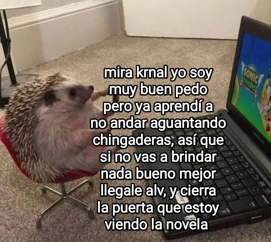 buenos días