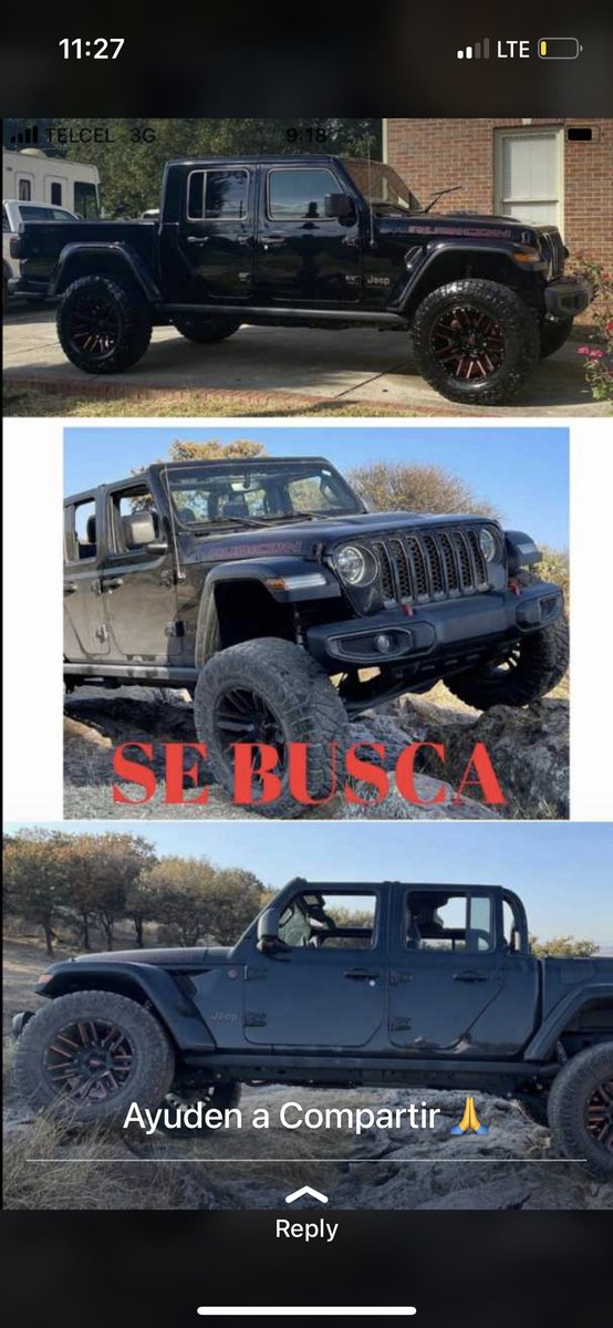 Gabrielavzqc's tweet photo. Se buscan estos perritos y el jeep 
Fueron robados a punta de pistola en la carretera San Juan de los Lagos https://t.co/ihPTMxdRiZ