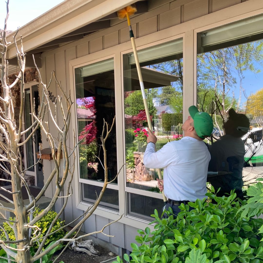 TotallyBoise's tweet photo. We don’t want to BUG you, but it's time to get your spring cleaning on!
Make sure you're prepared - call EcoSense Pest Control to service your home as you prepare for spring cleaning.🌻

Want a killer discount on your first EcoSense service? Click the l...
https://t.co/kHOBeOfqWA https://t.co/MQZyftYqet