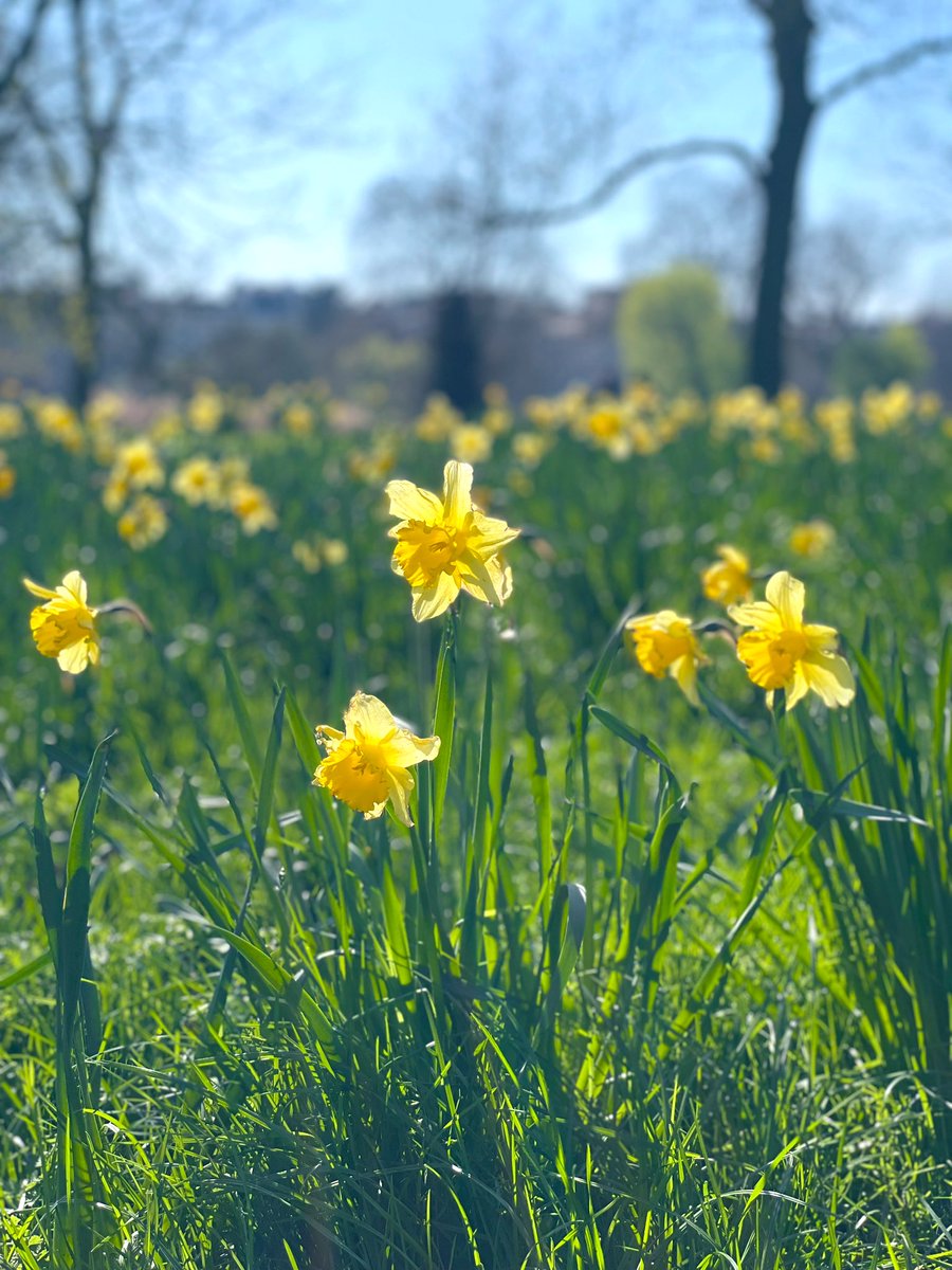 DrJessicaRowley's tweet photo. An early morning reiki/sound healing
&amp; break from reports to enjoy the beautiful April sun ☀️ - so important to put well-being first when working in a role where we help others - I am proud to be able to listen to my body and mind when it tells me something isn’t right 💆🏻‍♀️🧚🏼‍♀️✨ https://t.co/KOrObAUwRf