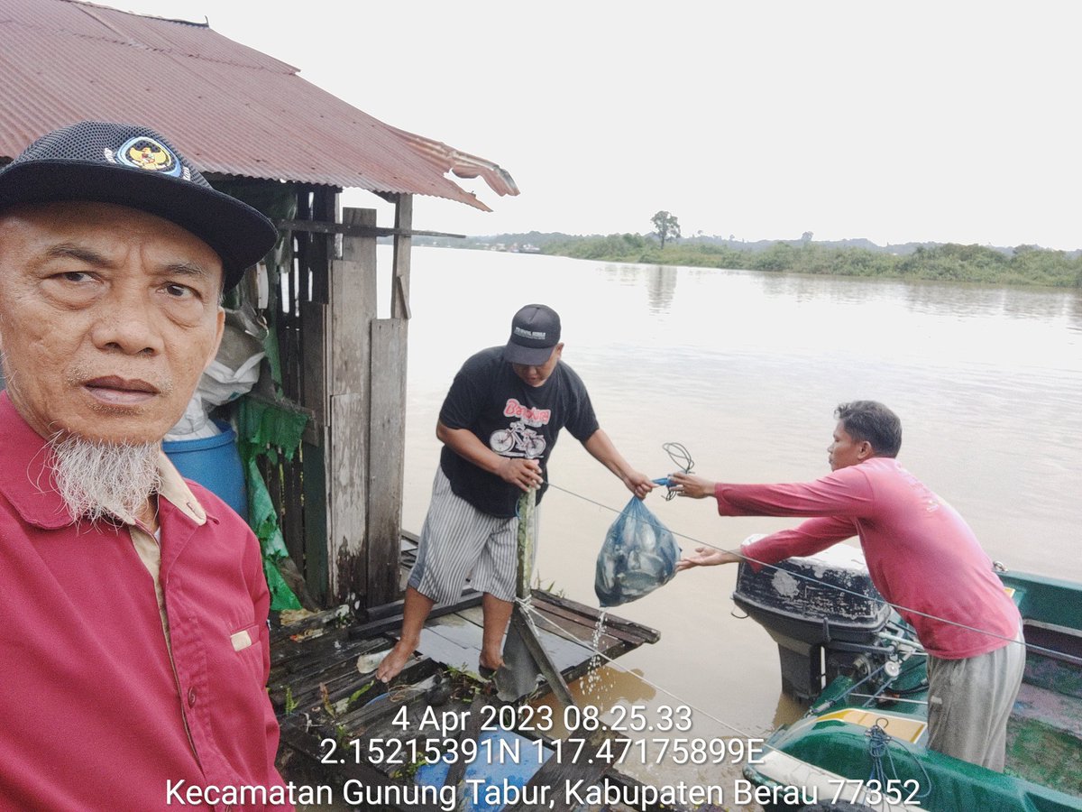 SjaifoedinSjoe2's tweet photo. Bismillah
Selasa (05/04), Sjaifoedin Sjoekri, luhkan Berau Kaltim, di pokdakan Bujangga Sejahtera, mendampingi panen ikan Mas, di KJA, sebanyak 130 kg, luas 6 m2, ukuran 300 gr, harga Rp 60.000/kg
#GiatLuhkanSatminkalTegal
#berau 
#luhlapor 
#pamen https://t.co/Z3JhcyTbHS