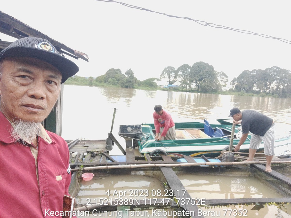 SjaifoedinSjoe2's tweet photo. Bismillah
Selasa (05/04), Sjaifoedin Sjoekri, luhkan Berau Kaltim, di pokdakan Bujangga Sejahtera, mendampingi panen ikan Mas, di KJA, sebanyak 130 kg, luas 6 m2, ukuran 300 gr, harga Rp 60.000/kg
#GiatLuhkanSatminkalTegal
#berau 
#luhlapor 
#pamen https://t.co/Z3JhcyTbHS