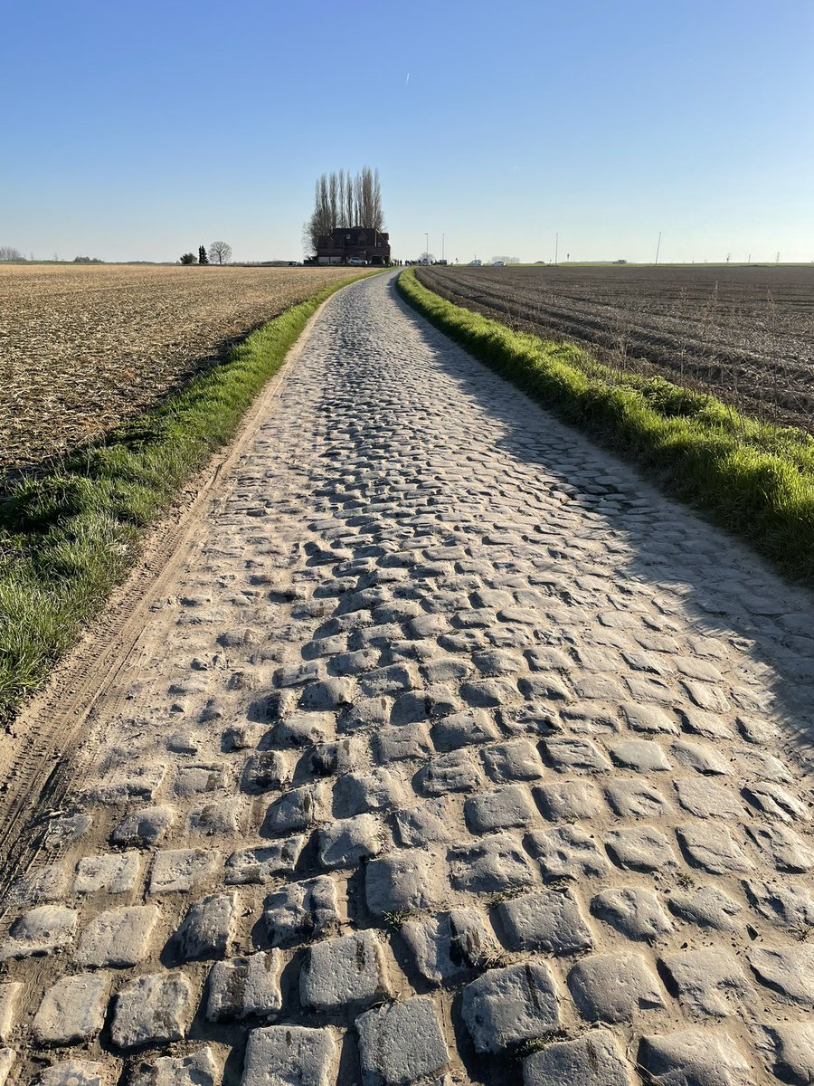 ⭐️⭐️⭐️⭐️⭐️
Le Carrefour de l’Arbre 

💪 When you see the restaurant, you know that the ordeal is almost over! 

💪 Quand on voit ce restaurant, on sait que le calvaire est bientôt terminé !

#ParisRoubaix