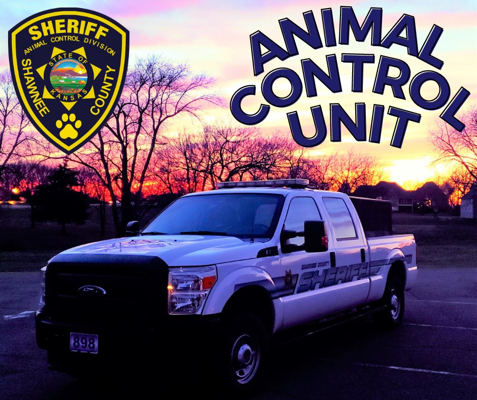 ShawneeSheriff's tweet photo. Yesterday was the start of National Animal Care and Control Appreciation Week 2023!

🐶🐱🐭🐹🐰🦊🐻🐼🐨🐯🦁🐮🐷🐸🐵🐧🐥🦉🐺🐴🦄🦂🐢🐍🦎🦖🦕🐙🐡🐬🐳🦈🐊🐅🦓🦍🦧🐘🦛🦏🐪🦒🦘🐃🐄🐖🐏🦌🐕🦃🦚🦝🐇🦨🦔🐉

#AnimalControlOfficerAppreciationWeek #NACOA https://t.co/Luif0a6Bpr