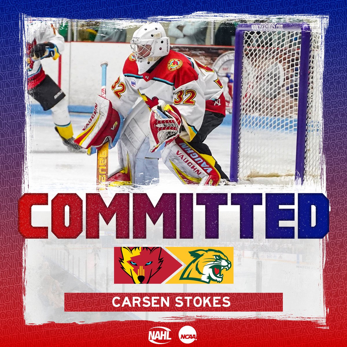 NAHLHockey's tweet photo. #NAHL Commitment Alert: @NMIceWolves goaltender and @NA3HL alum Carsen Stokes @CarsenStokes35 has committed to play NCAA Division I @collegehockey for @NMUHockey in @CCHAHockey #MadeintheNA #LadderofDevelopment https://t.co/HkD4W8iBD1 https://t.co/jL4EBVLzIr