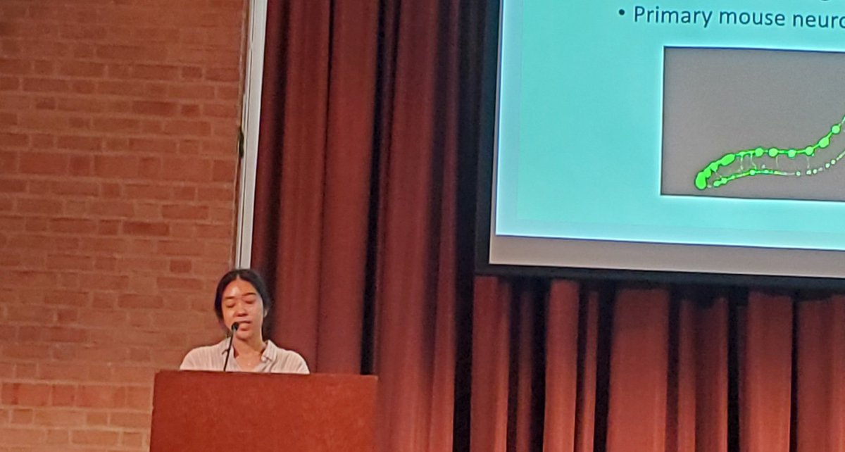 Our grad student Heather inspiring the next generation of neuroscientists at the Rice Undergraduate Neuroscience Symposium! Great job to all the poster presenters too!