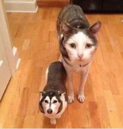 You Had One Job tweet media