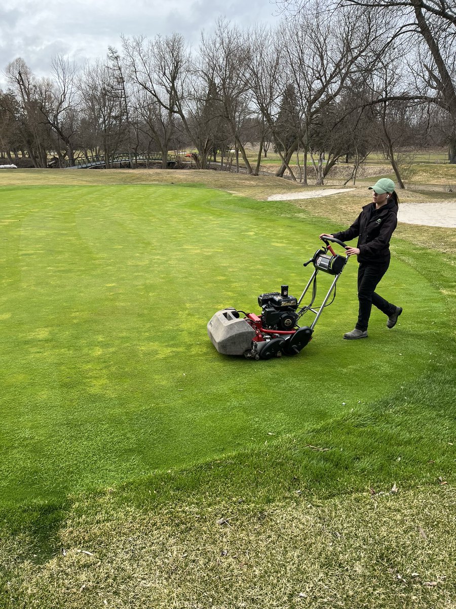 OGCC Turf Dept tweet media