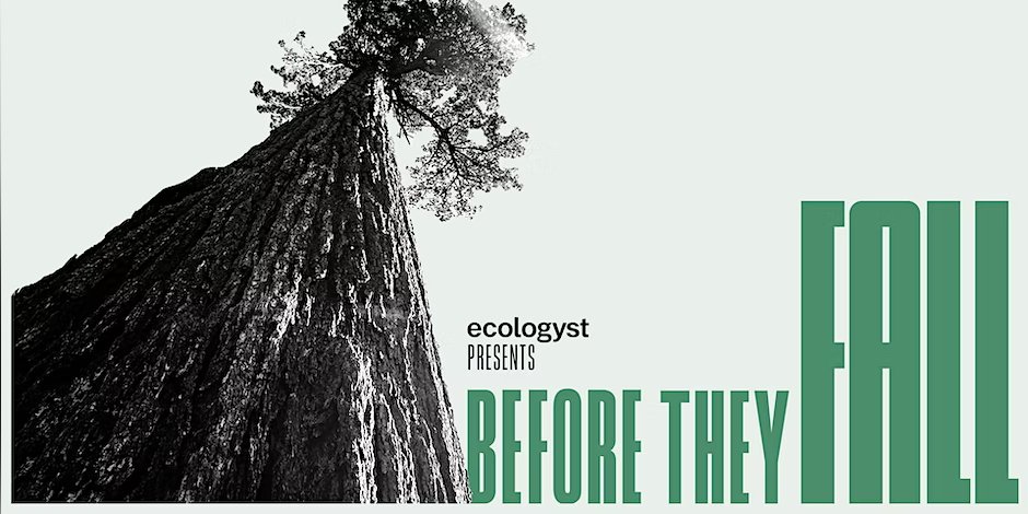 Thursday @ #UVic! A free screening of 'Before They Fall', a film about the #FairyCreek blockade that follows First Nations, conservation groups + scientists defending old growth forests from logging: eventbrite.ca/e/before-they-…