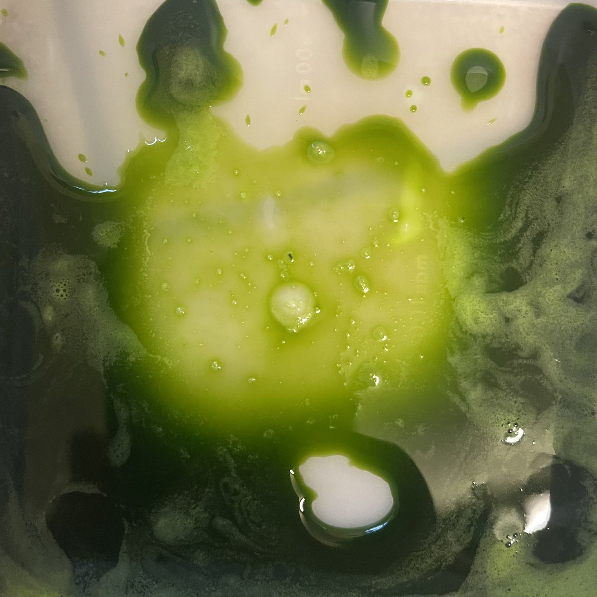 lumilyon's tweet image. I’m sorry that due to family circumstances, I had to cancel my #Anthotype workshop #NaturalMagic 
@bodleianlibs #WestonLibrary #oxford we’ll be fixing another date very soon