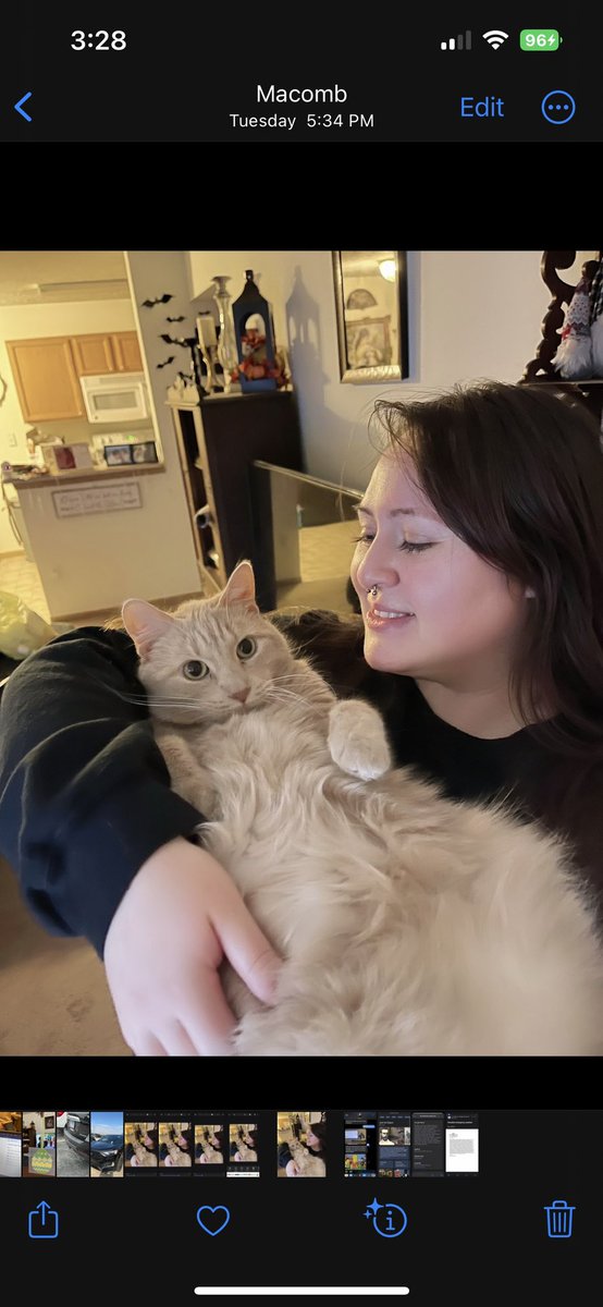 isakpad's tweet photo. A moment of appreciation for this fluff ball. Thanks for always being my study buddy. He looks absolutely thrilled, I promise he loves me 😂 https://t.co/NryaxEeZbN