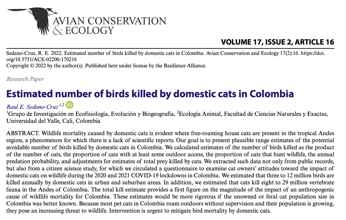 Los gatos son una amenaza gigante para las aves en Colombia.