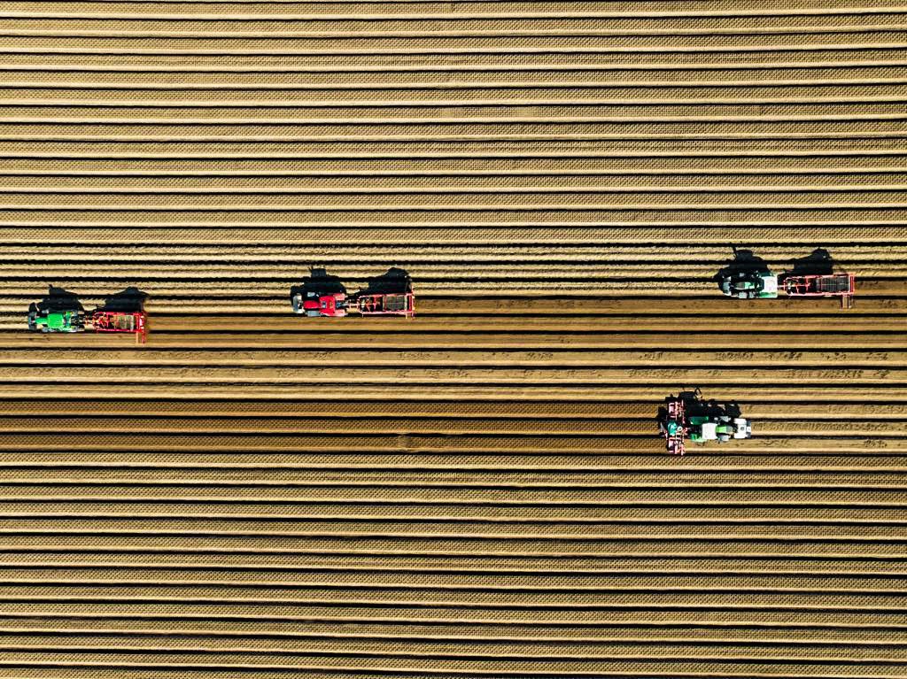 Get out there best remedy, #Norfolk <a href="/EDP24/">Eastern Daily Press</a> potato planting.